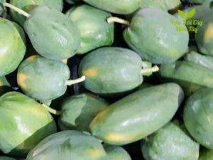 Đu Đủ Ruột Vàng